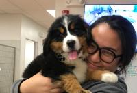 Aileen ang Beterinaryo Tech